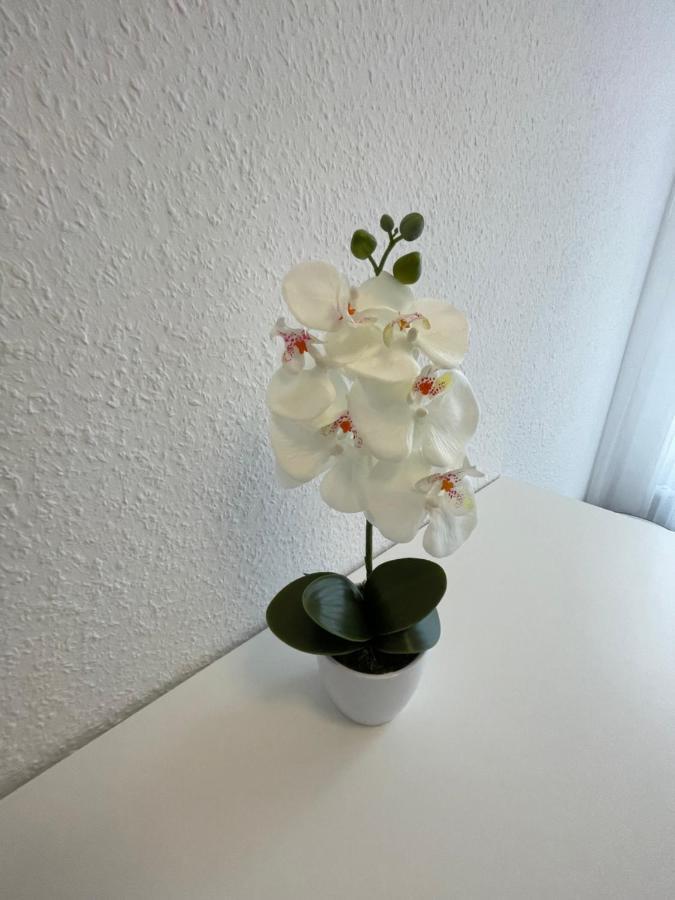 Lucky Stays Ls07 - Vollausstattung - Zentrum - Aufzug - Grosse Kueche - 2 Zimmer - Smart-Tv Магдебург Екстериор снимка