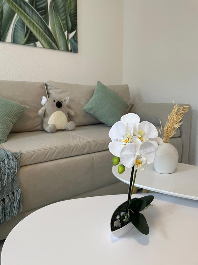 Lucky Stays Ls07 - Vollausstattung - Zentrum - Aufzug - Grosse Kueche - 2 Zimmer - Smart-Tv Магдебург Екстериор снимка